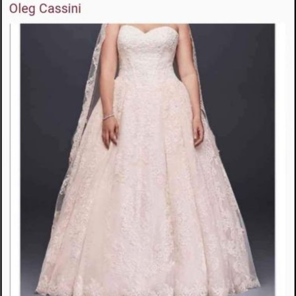 Oleg Cassini Wedding Ball Gown with Lace Appliques - Picture 1 of 4